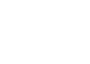 Workuid x Camellia Scarfs