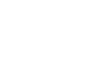 Workuid x Camellia Scarfs