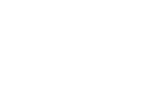 YazPaws x Workuid